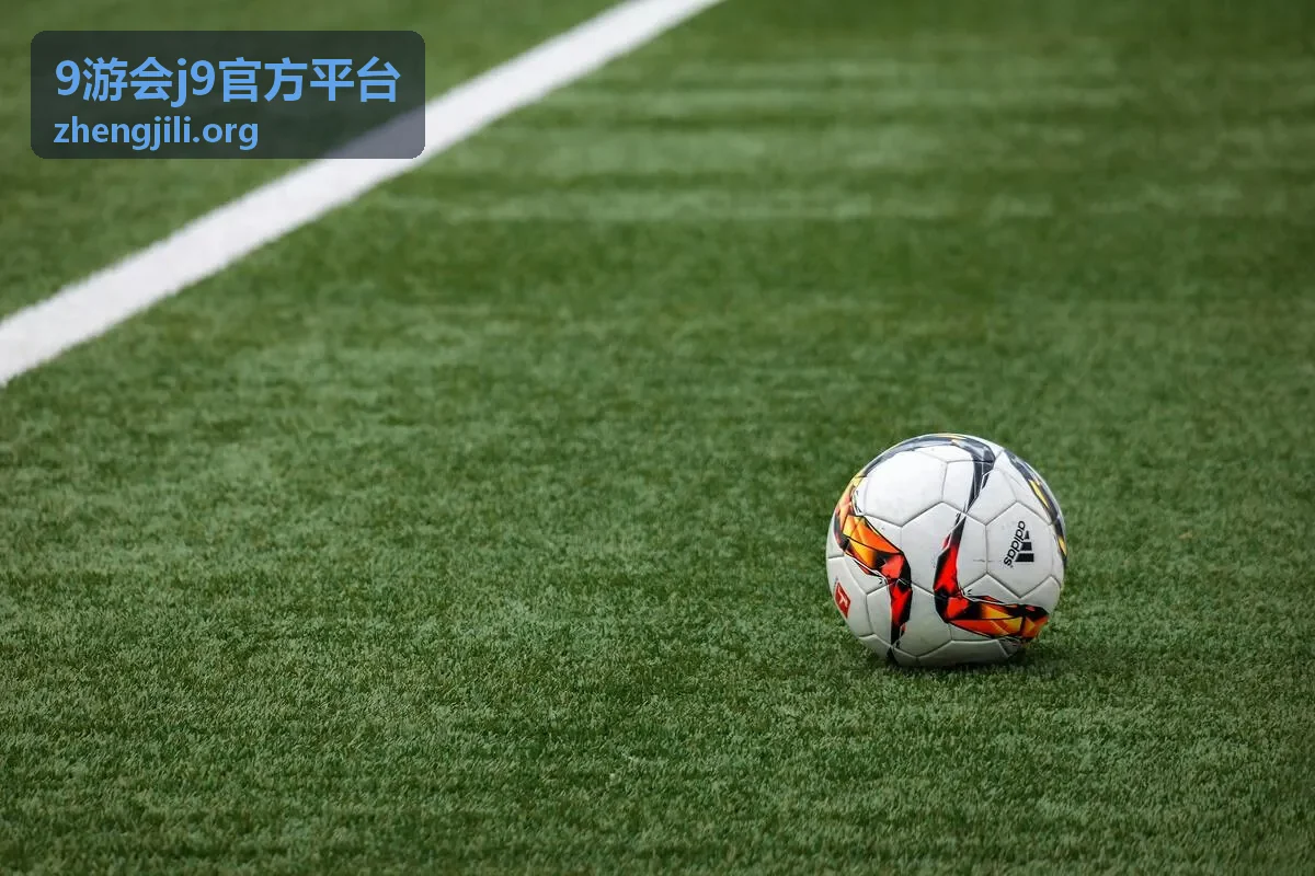 9游会j9官方平台使用说明缩略图
